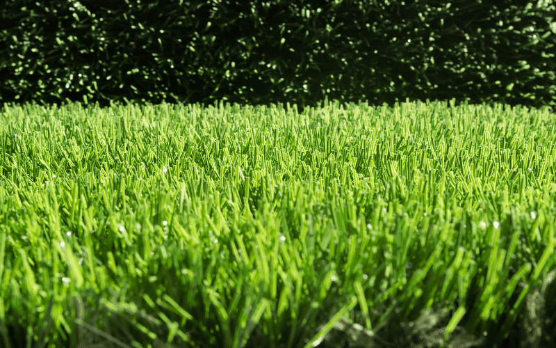 synthetic-grass-closeup-high-green